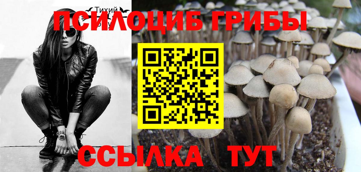 где можно купить   Галлюциногенные грибы мицелий  Вход с VPN  Казань 